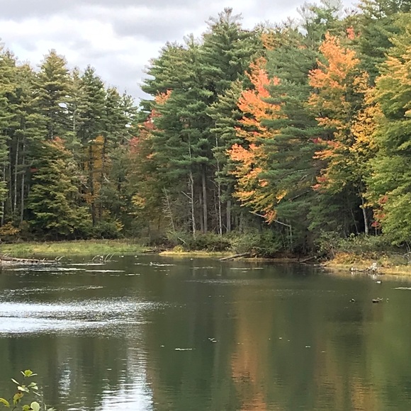 Meet your Posher, Stefanie - Picture 1 of 1